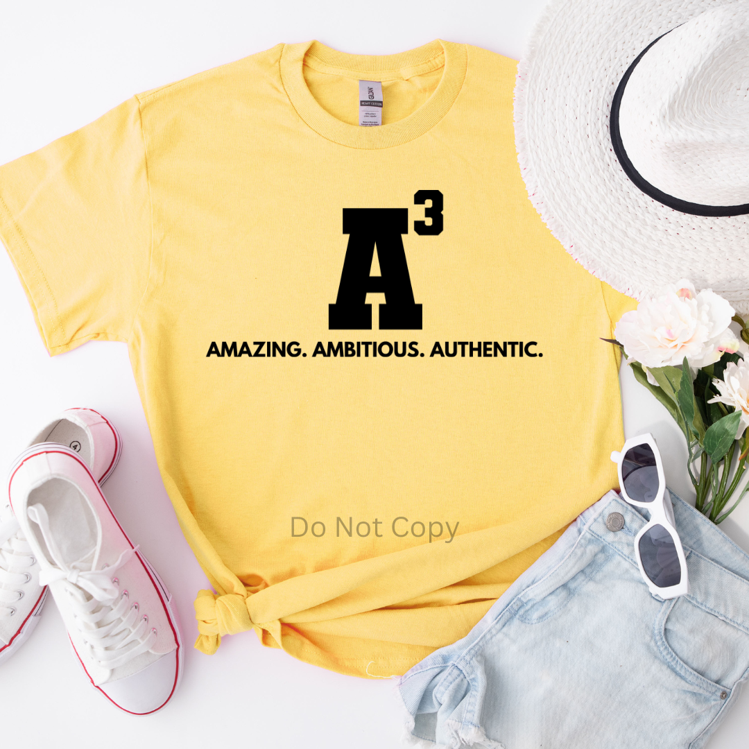 A3 Amazing Ambitious Authentic Screen Print Transfer on a tshirt